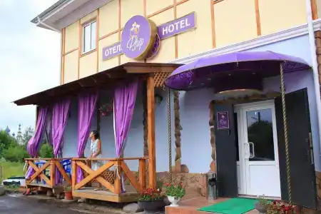 Флер - 1