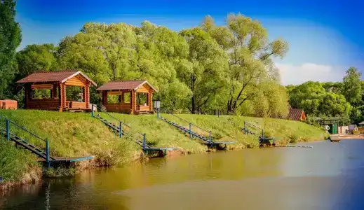Велесов лес - 0