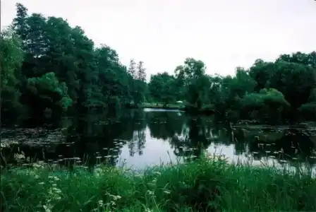 Воробьево - 30
