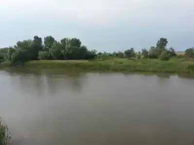 Лагутник - 1
