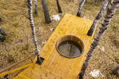 Кедровая заимка - 2