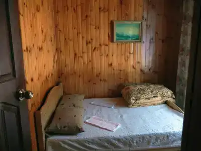Берёзка - 4