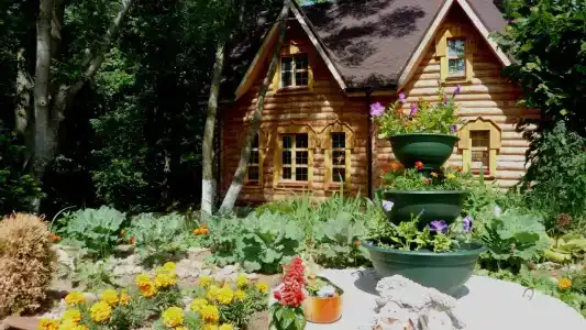 Живые Родники - 9