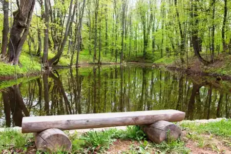 Живые Родники - 12