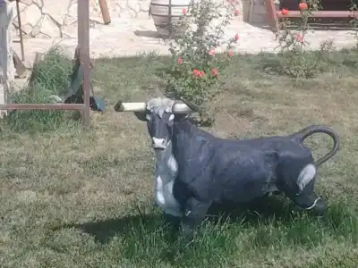 Каштан - 2
