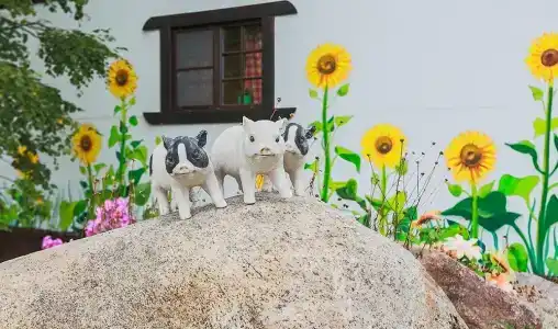 Родная Усадьба - 7