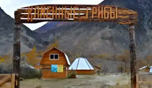 Каменные грибы - 2