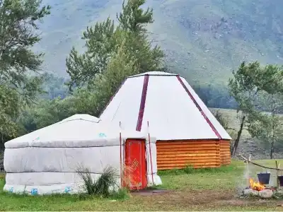 Каменные грибы - 5