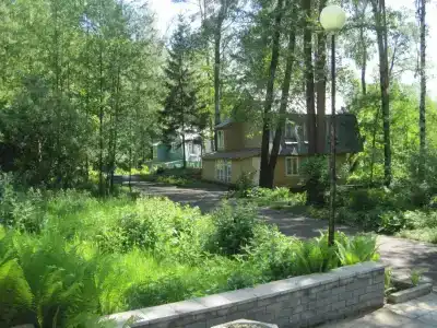 Спутник - 1