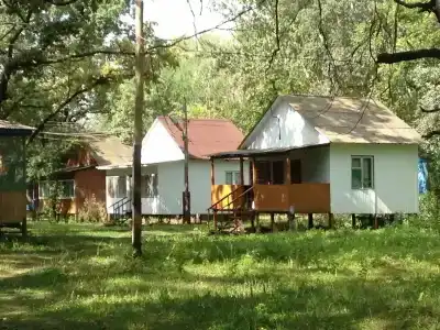Дубовая Грива - 0