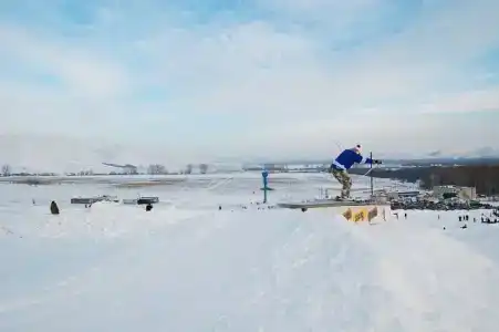 Эдельвейс - 1