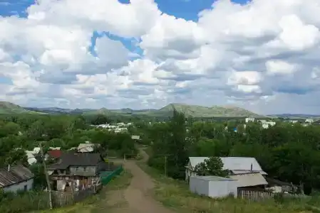 Эдельвейс - 9
