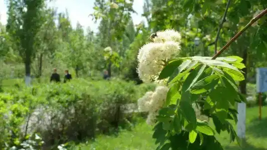 Светлана - 11