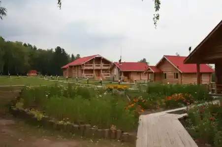 Кордон Донаурово - 2