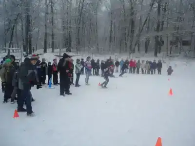 Клён - 7