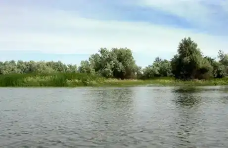Астра - 12