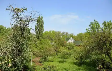 Домнареке - 6