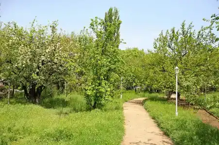 Домнареке - 7