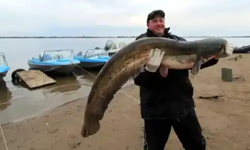 Дедушкин хутор - 22