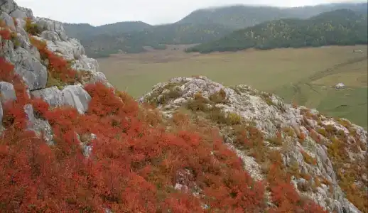 Стик Тревел - 12