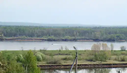 Рябинушка - 8