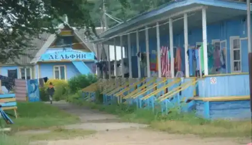 Дельфин - 1