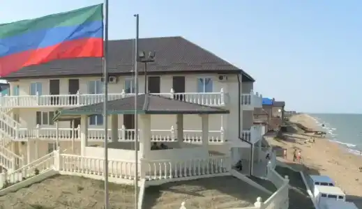 Дельфин - 17