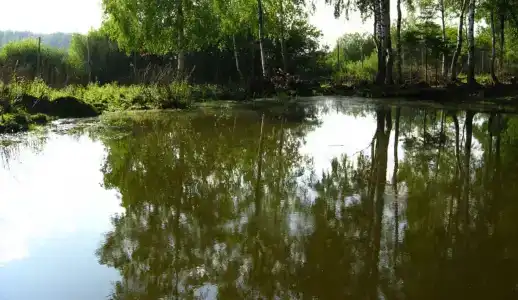 Ухра - 10