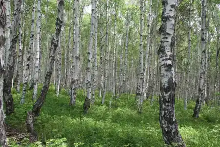 Кругобайкальская - 9