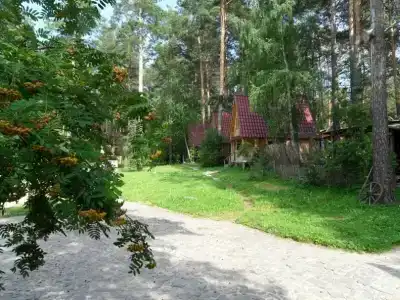Дубрава - 5