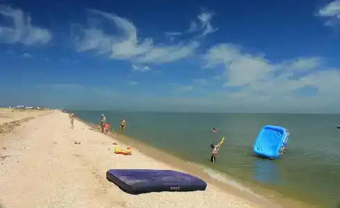 Серфприют - 37