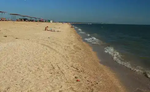 Серфприют - 43