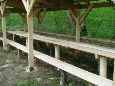 Каштановая роща - 2