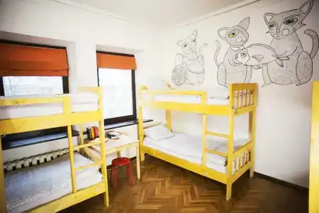 Котики - 8