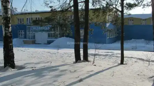 Тайга - 3