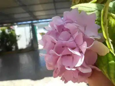 Гостевой дом на Единство, 26 - 15