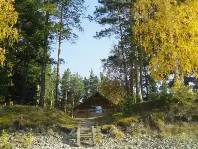 Кедровый - 5