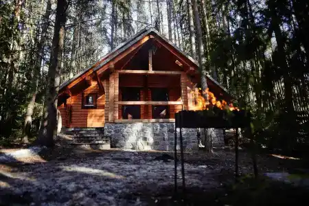 Зеленый городок - 12