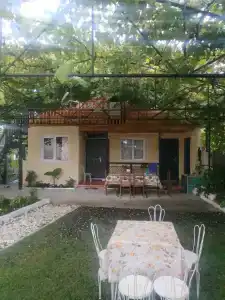 У Фариды - 0