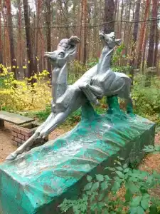 База отдыха им. Покрышкина - 49