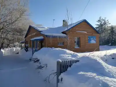 Вулканолог - 1