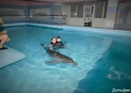 Дельфин - 74
