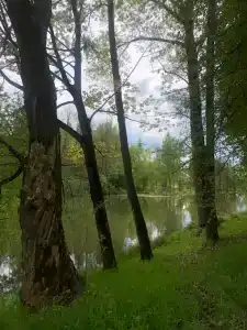 Русские просторы - 30