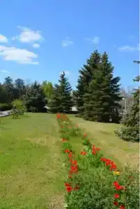 Здравница - 0