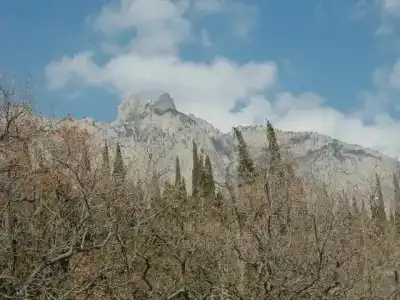 Ратник - 1