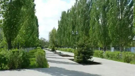 Светлана - 7