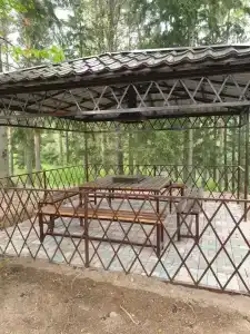 Зелёная роща - 35