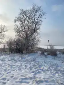 Веселый Кабан - 21