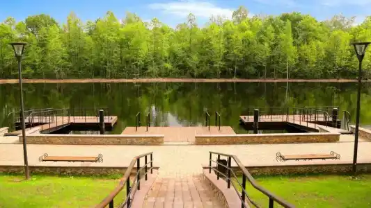 Березинская Дубрава - 12