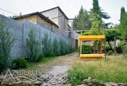 Глициния - 16